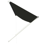 Awning Anthracite Steel frame, 100% polyester fabric with PA coating