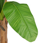 Artificial Plant Green Wooden Stems Large Decorative Inlays