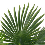 Artificial Plant Green and brown Plastic and wood Medium