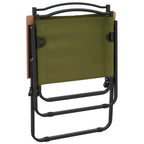 Camping Chair Set of 2 Green 500D Oxford fabric with PE coating